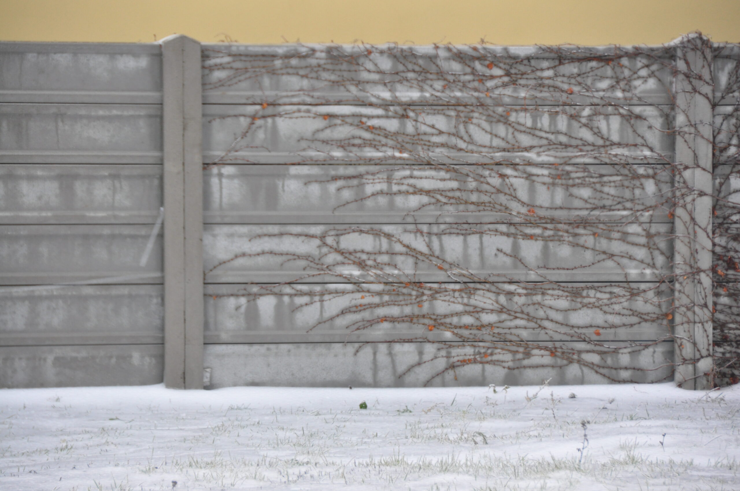 Jednoúrovňová galéria 513