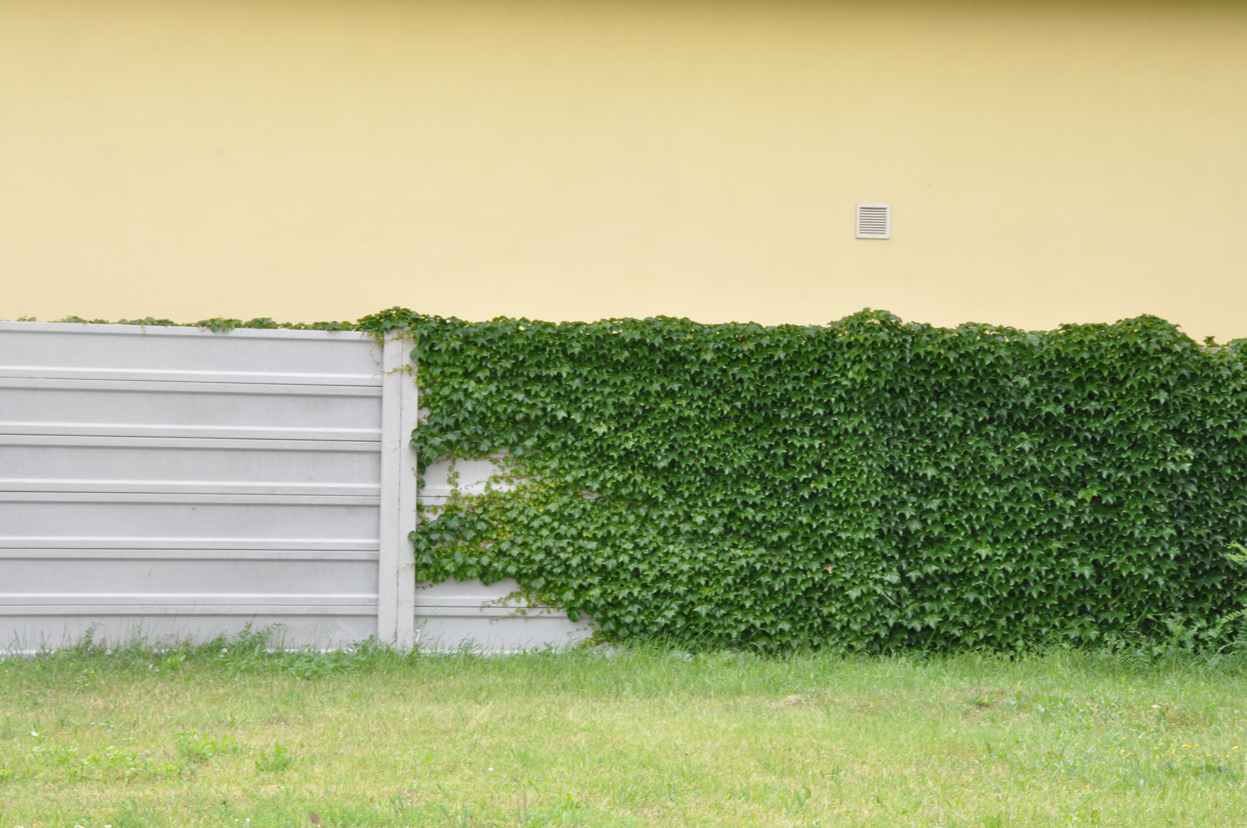 Jednoúrovňová galéria 497