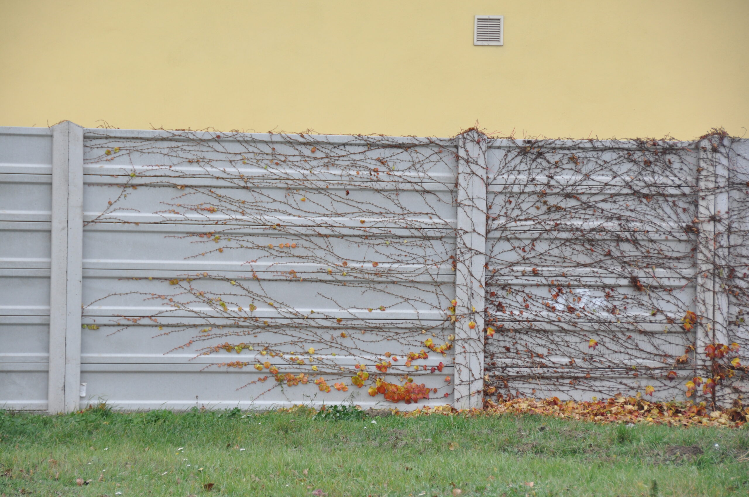 Jednoúrovňová galéria 471