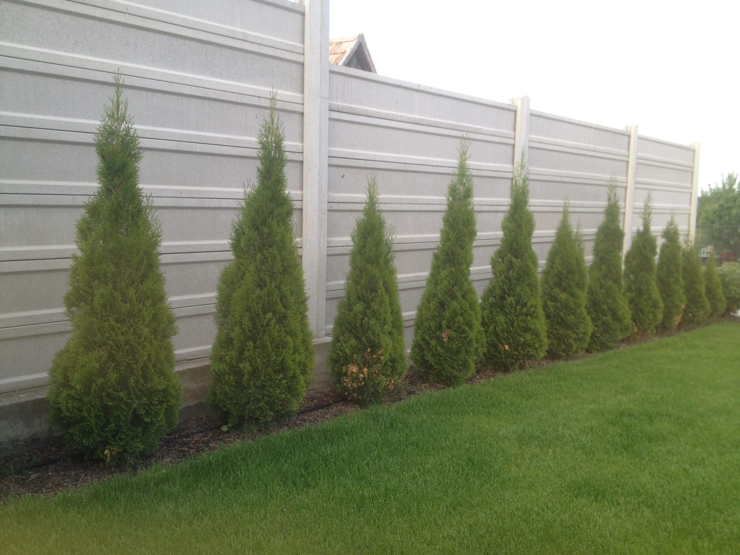 Jednoúrovňová galéria 405