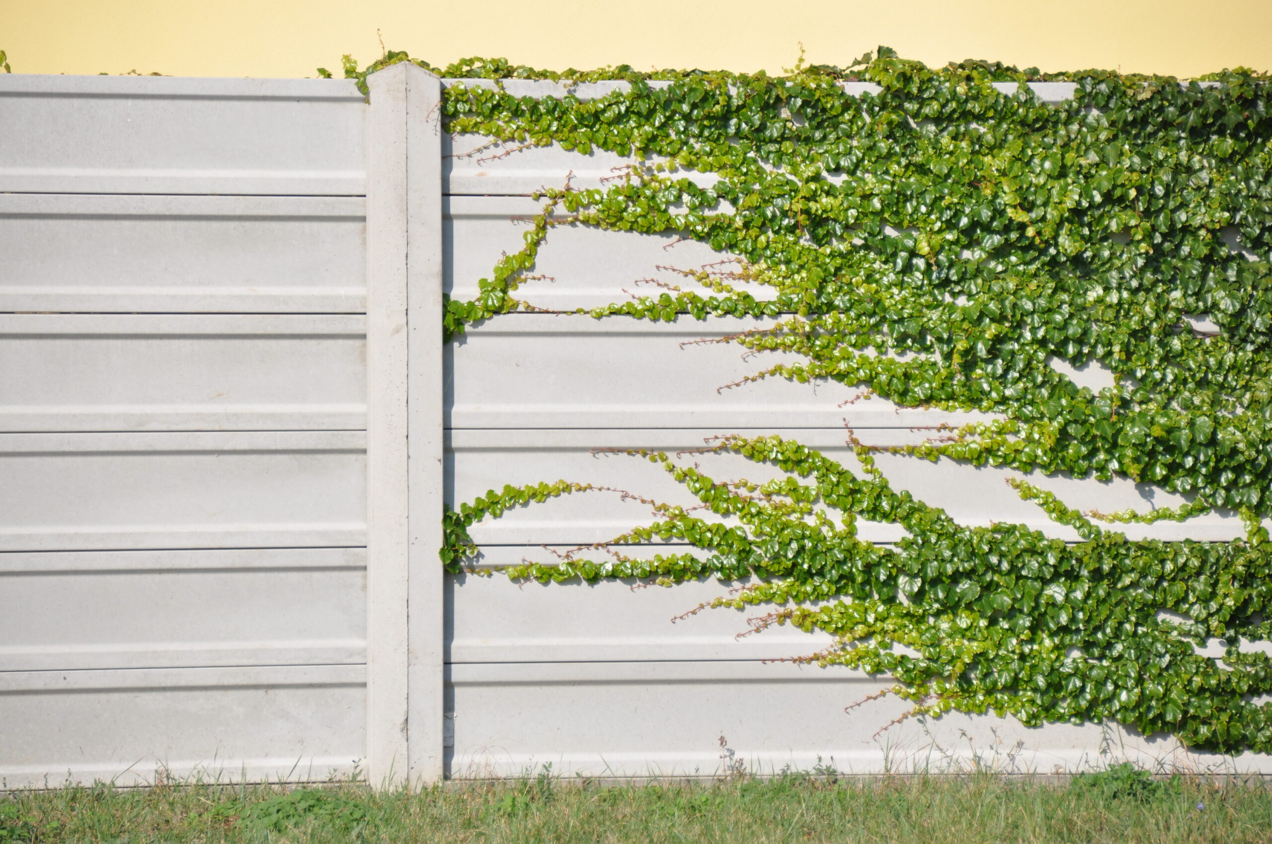 Jednoúrovňová galéria 347